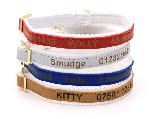 Personalised custom cat kitten - personalised,