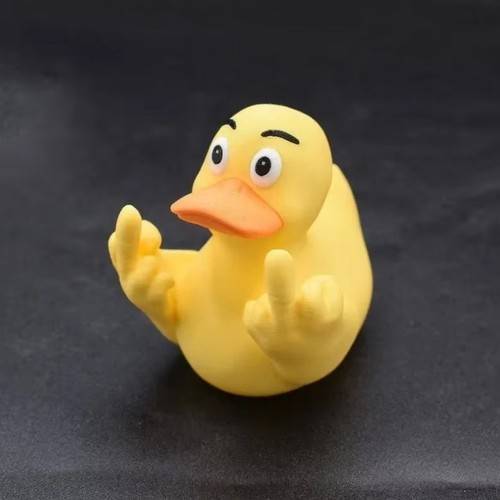 Funny middle finger duck - funny,
