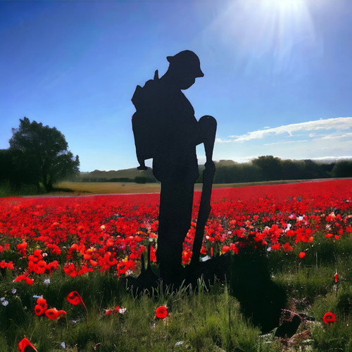Lest forget soldier - lest, we