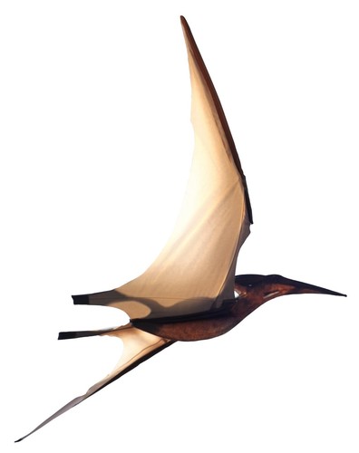 Jurassic kites pterodactyl - kites,