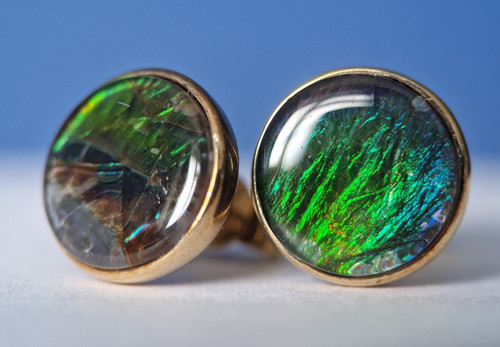 9ct gold ammolite stud - ammolite,