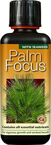 Palm focus 300 - focus, growth